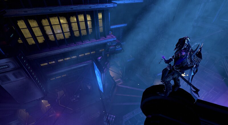 Warrior on a Platform