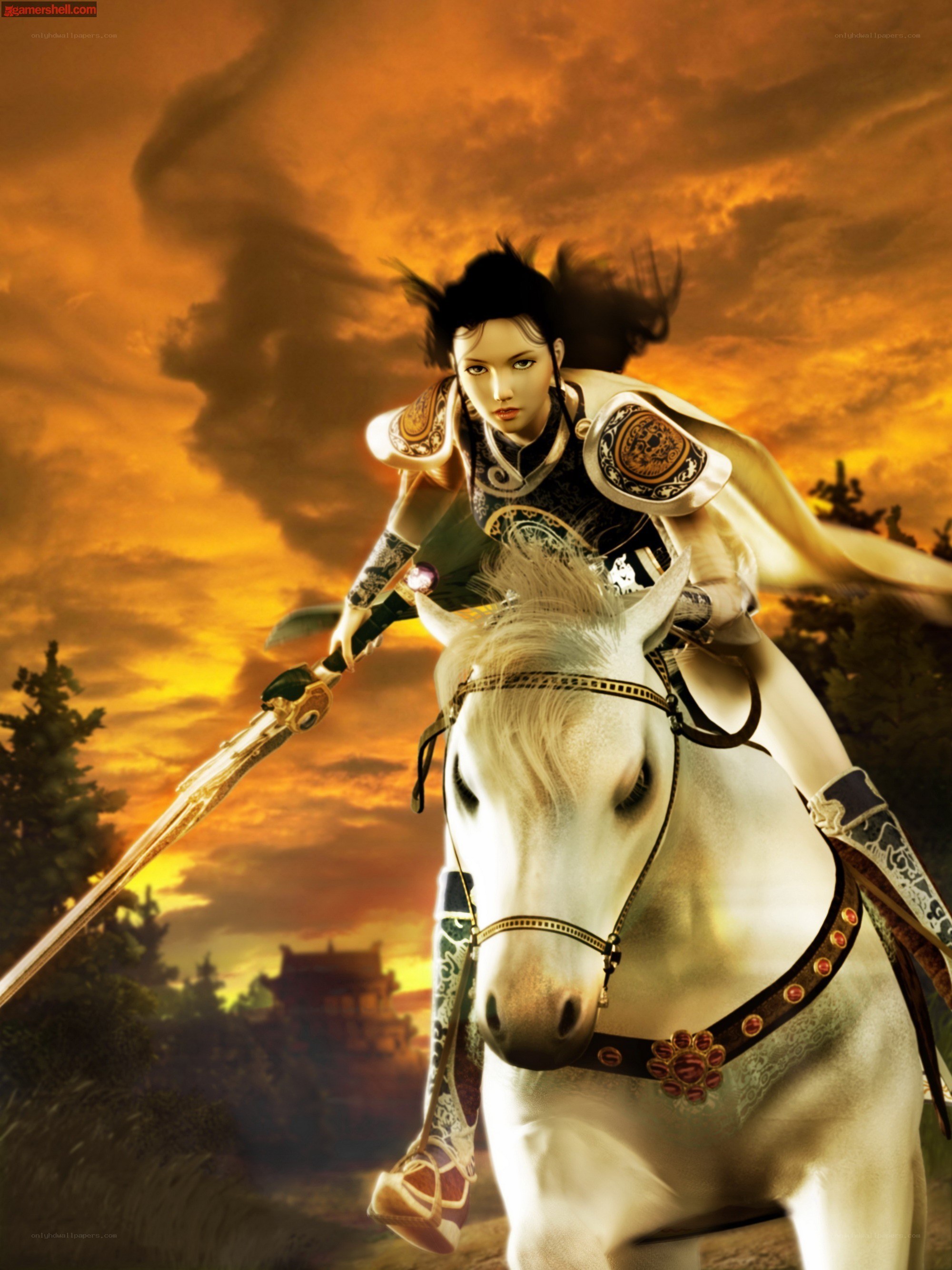 warrior on a white horse