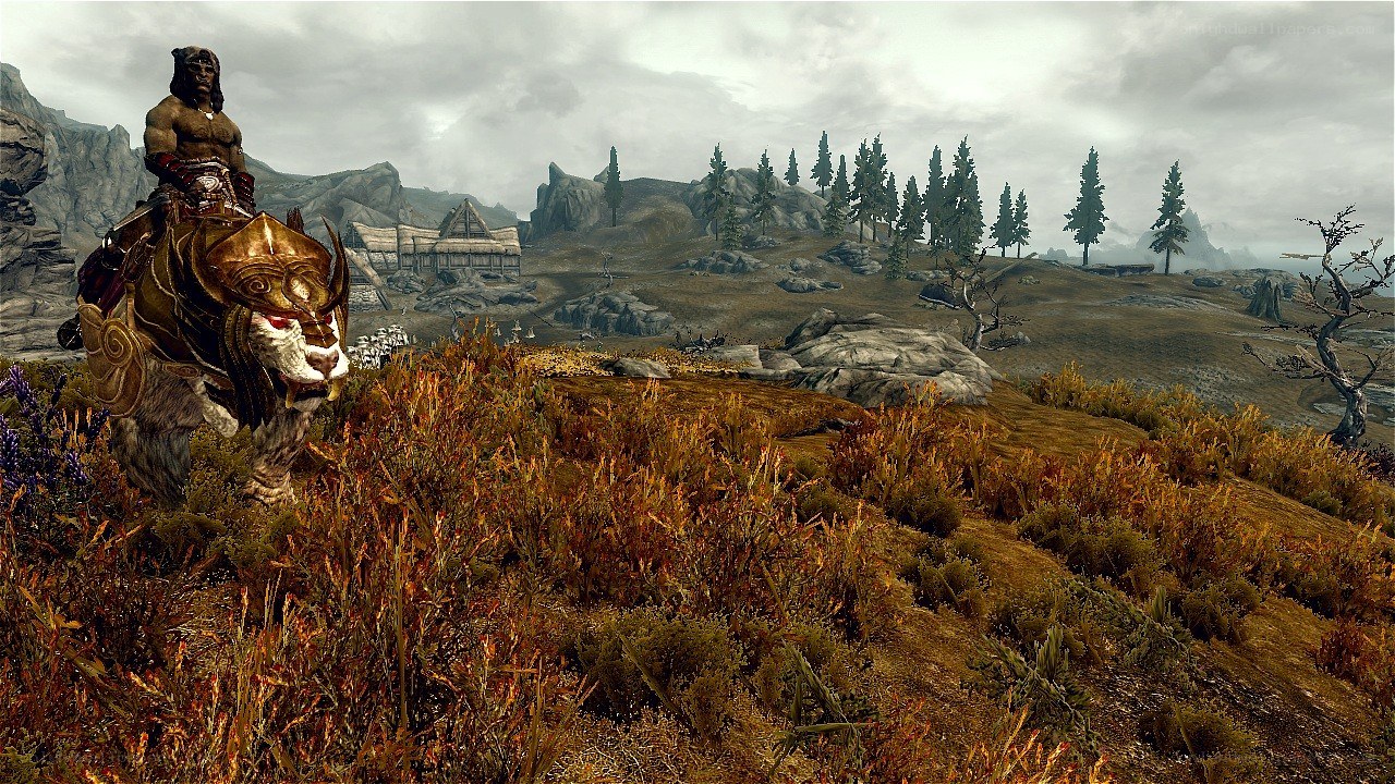 warrior on a wolf mount