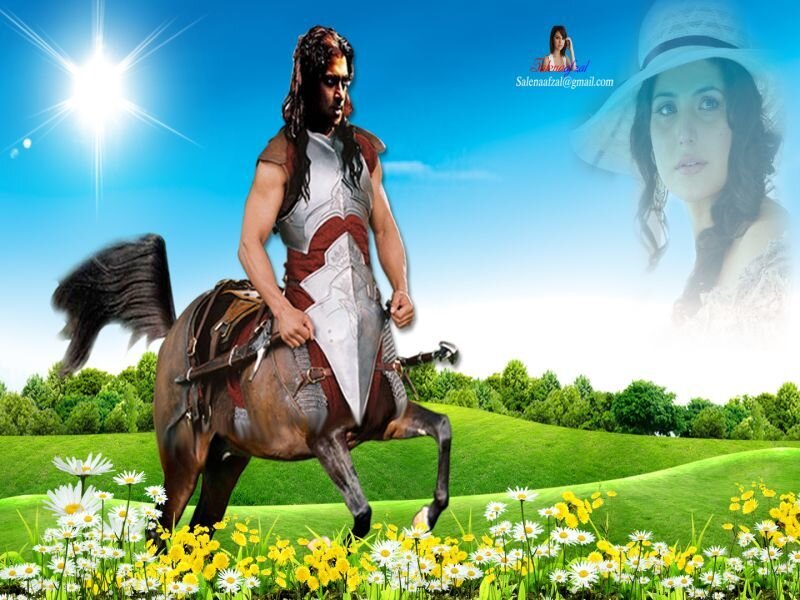 Warrior on horseback in a field
