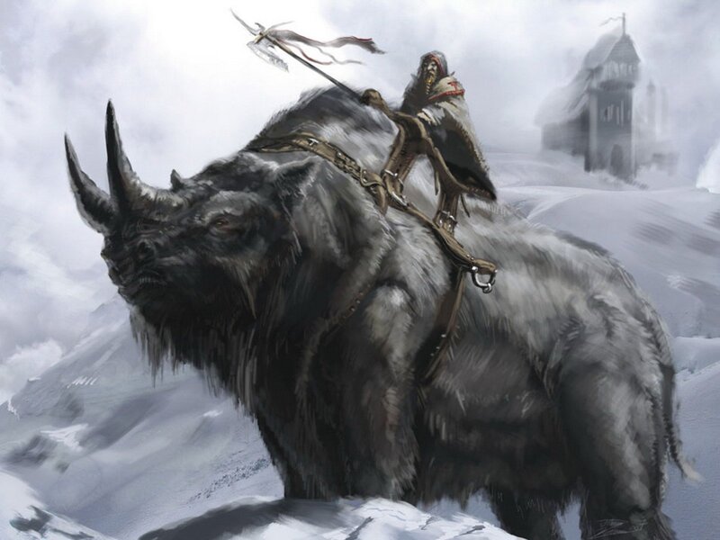 Warrior on Rhino