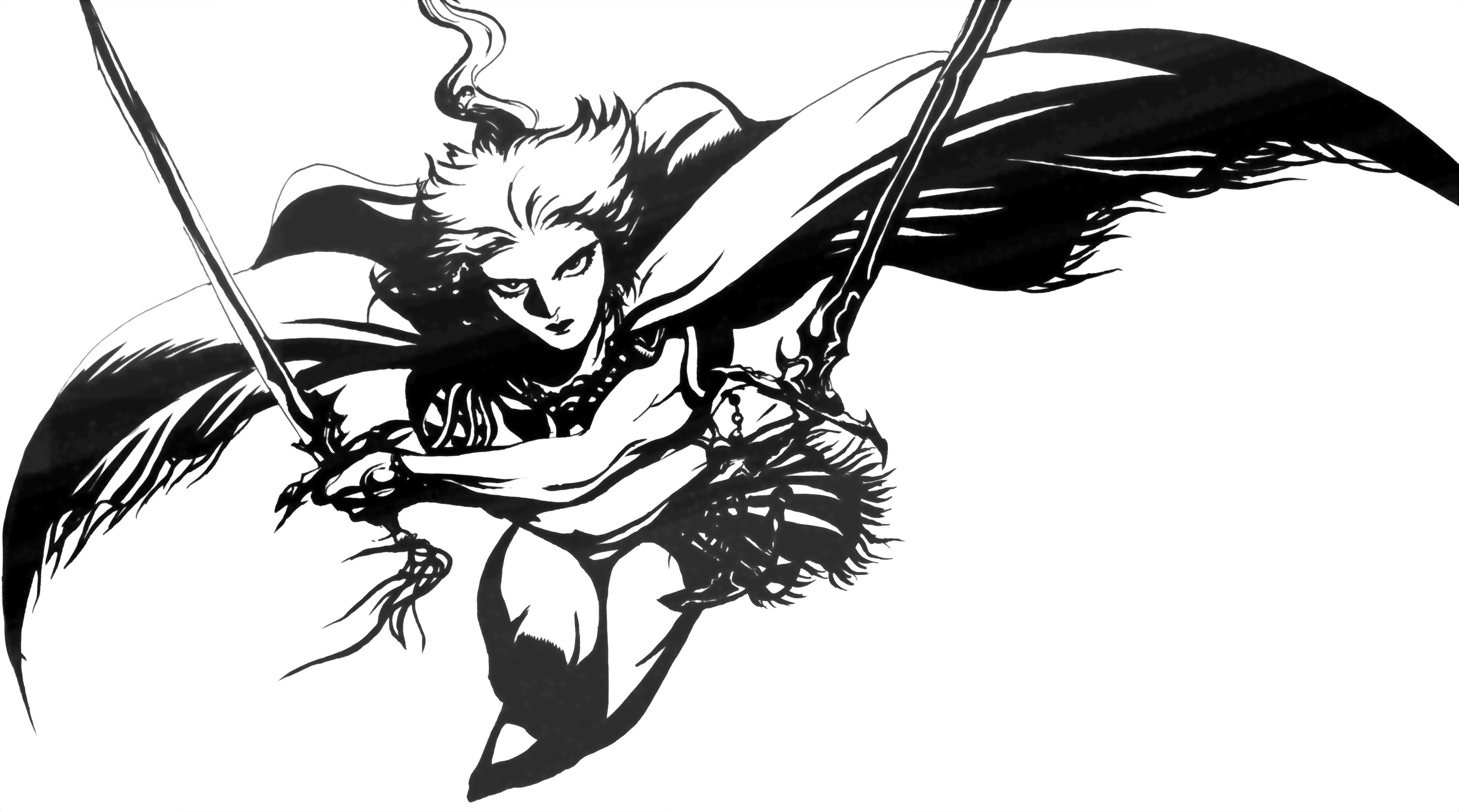 warrior with dual swords