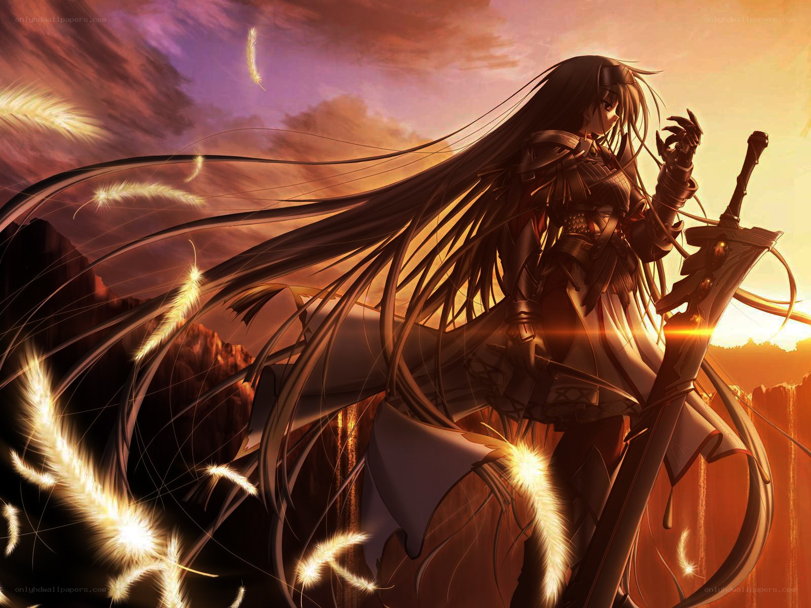 Warrior with long hair at sunset