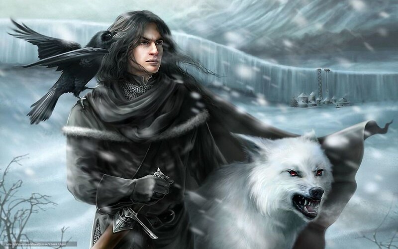Warrior with wolf and raven
