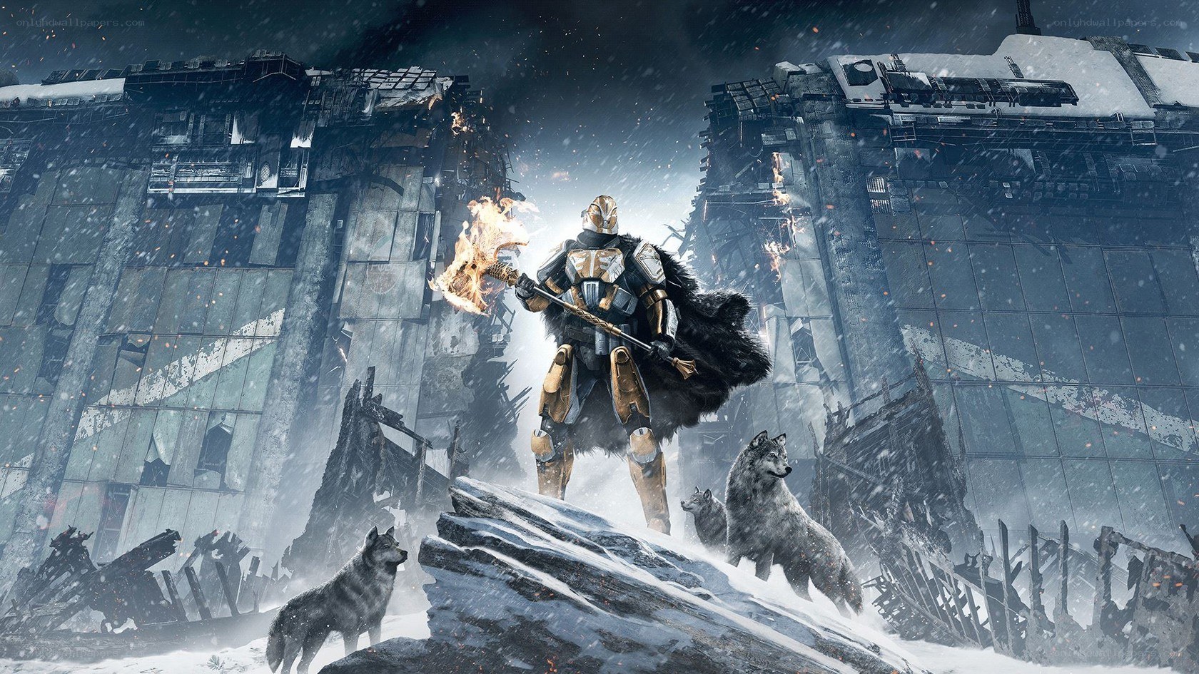 warrior with wolves in ruins