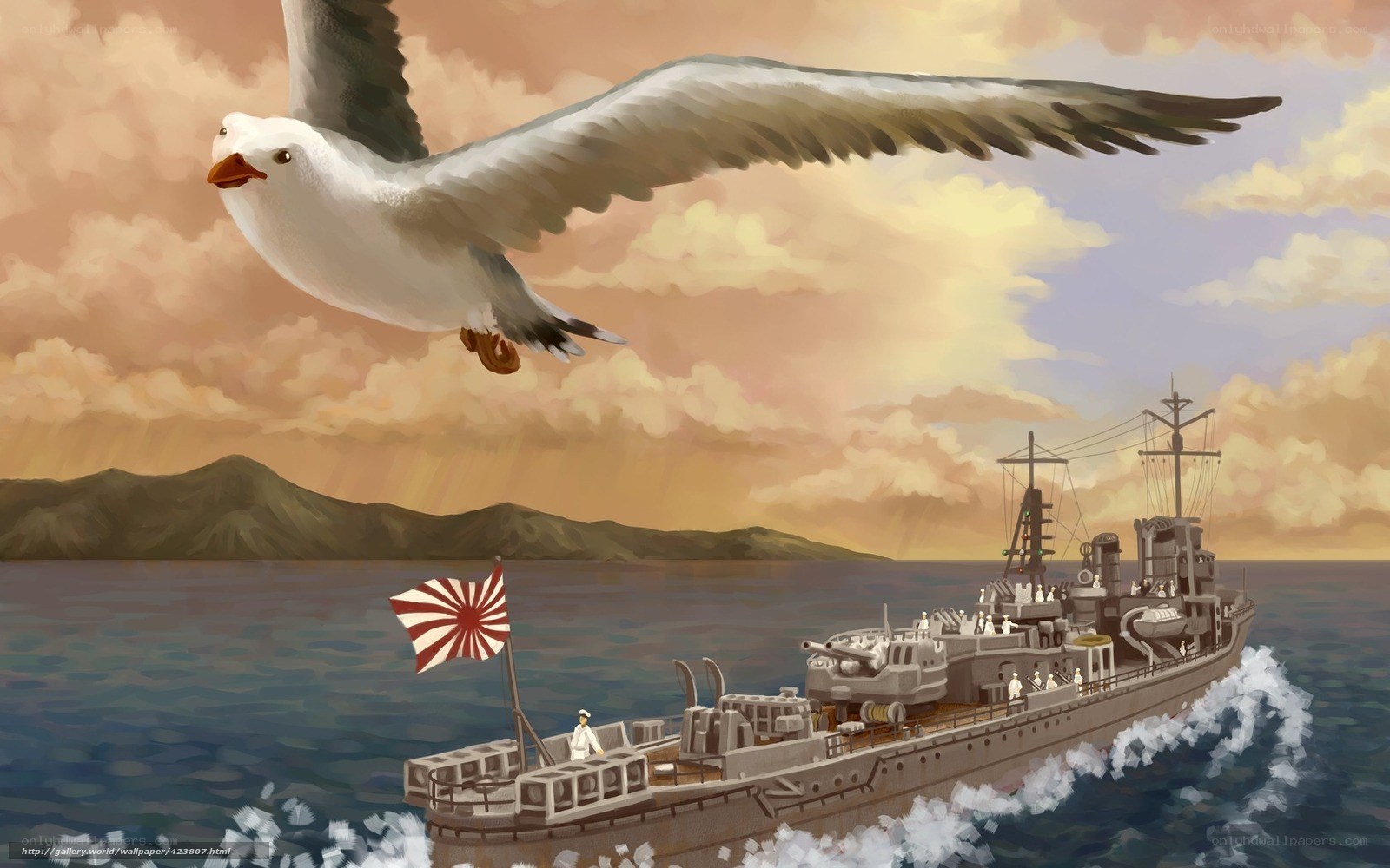 Warship at sea with seagull