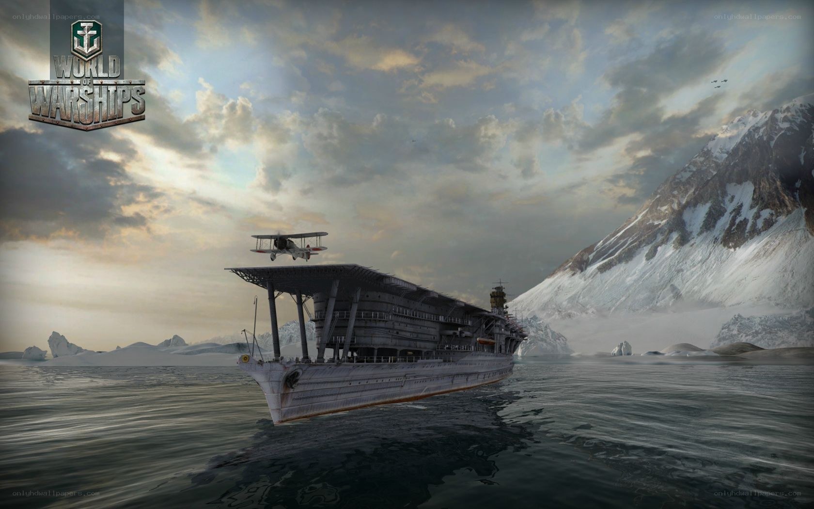 Warship in icy waters