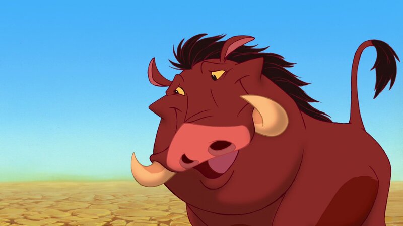 Warthog in Desert