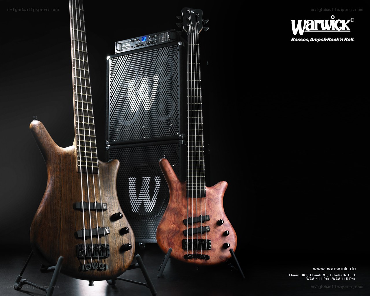 Warwick bass guitars and amplifier