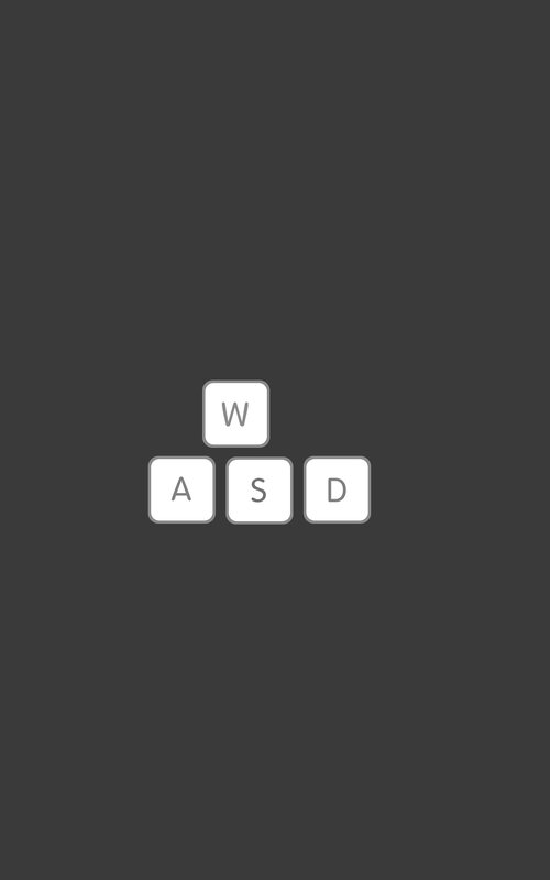 WASD Keys