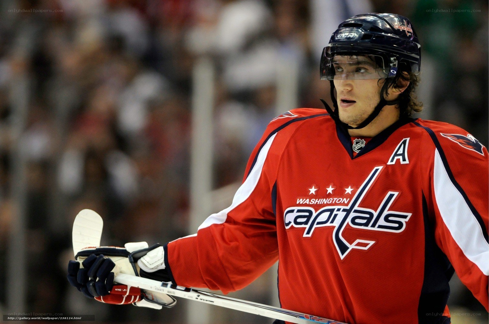 Washington Capitals hockey player