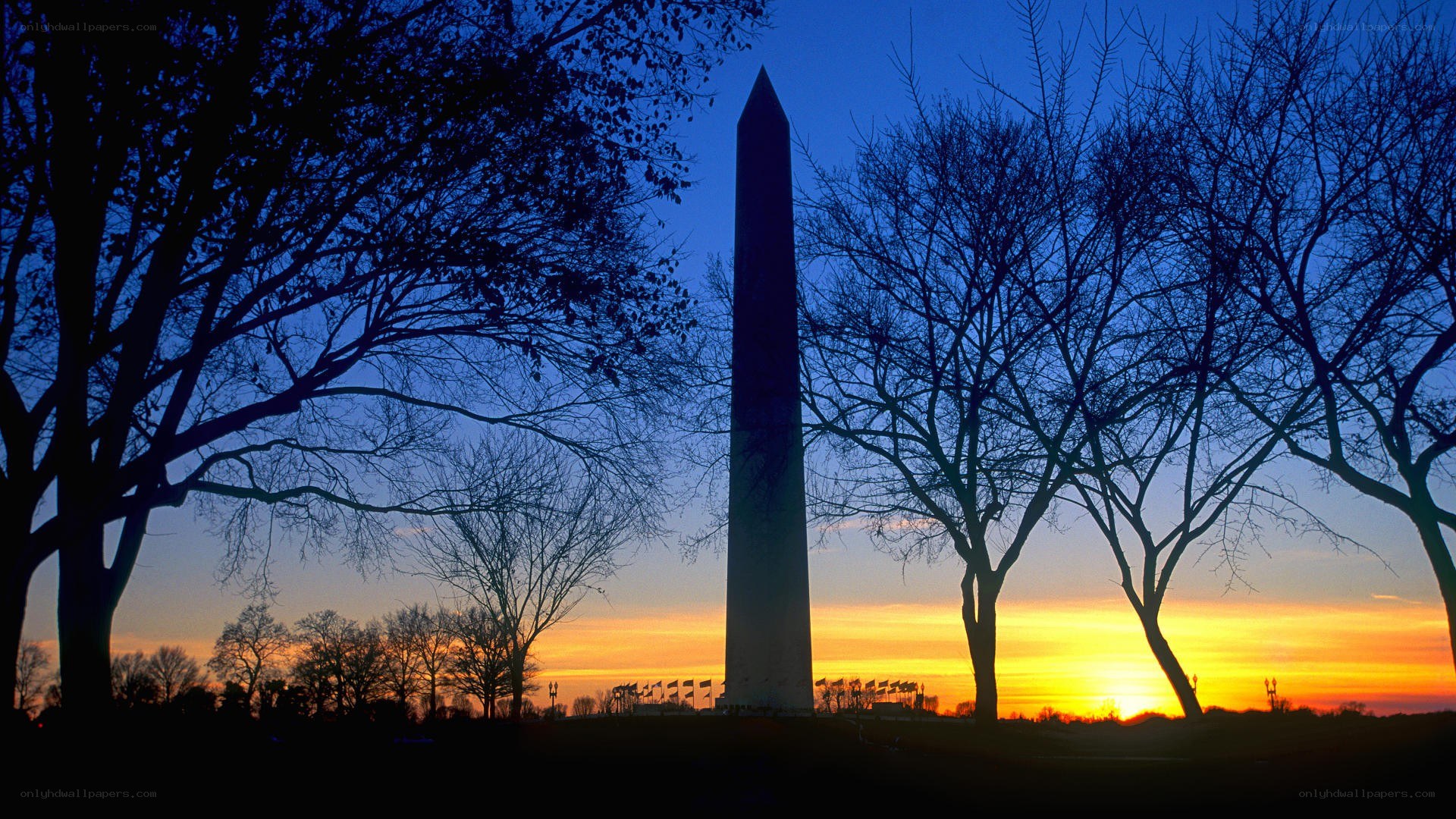 Washington Monument at sunset