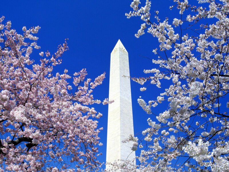 Washington Monument — Blue, Serene, Spring