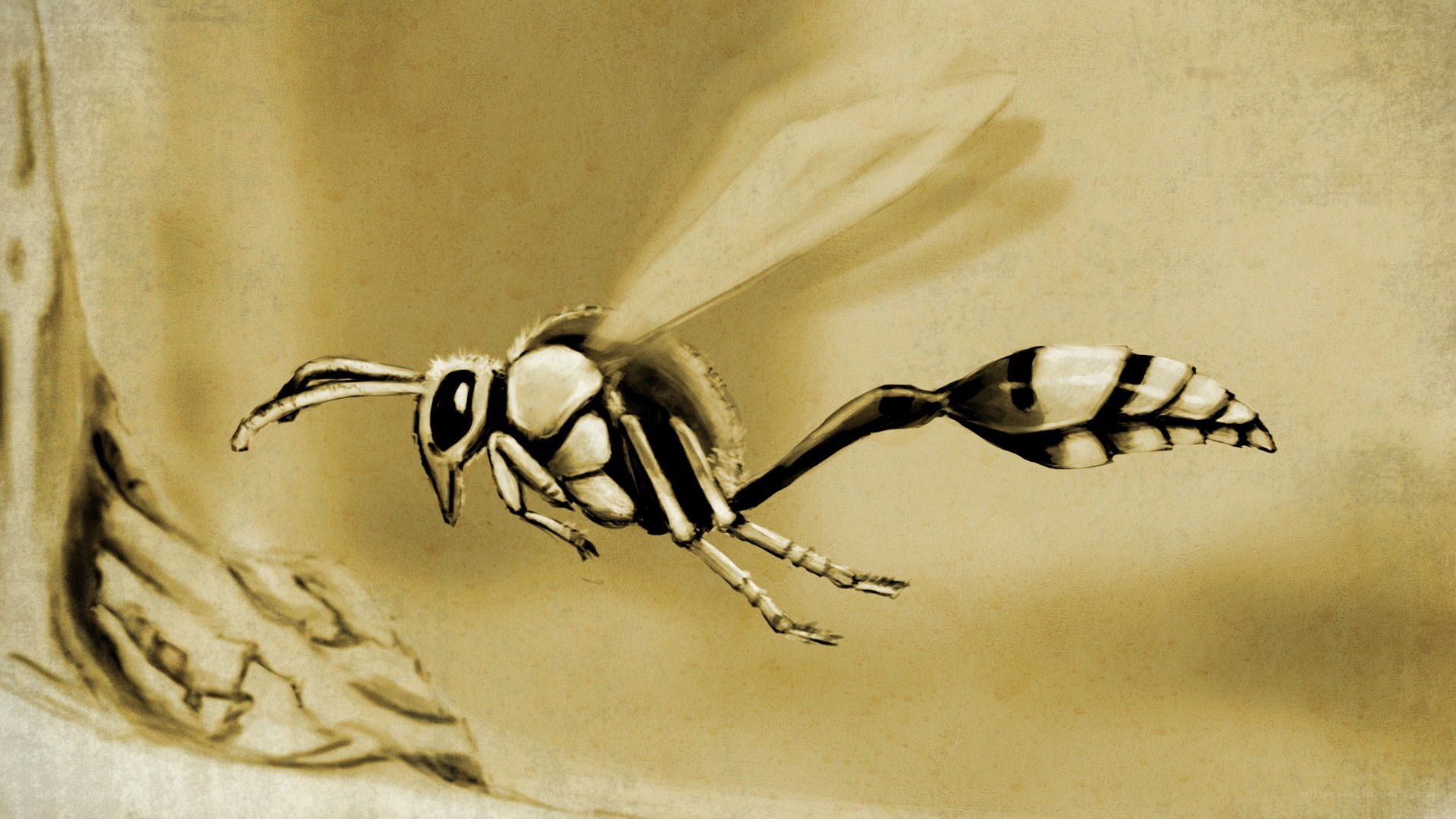 wasp in flight illustration