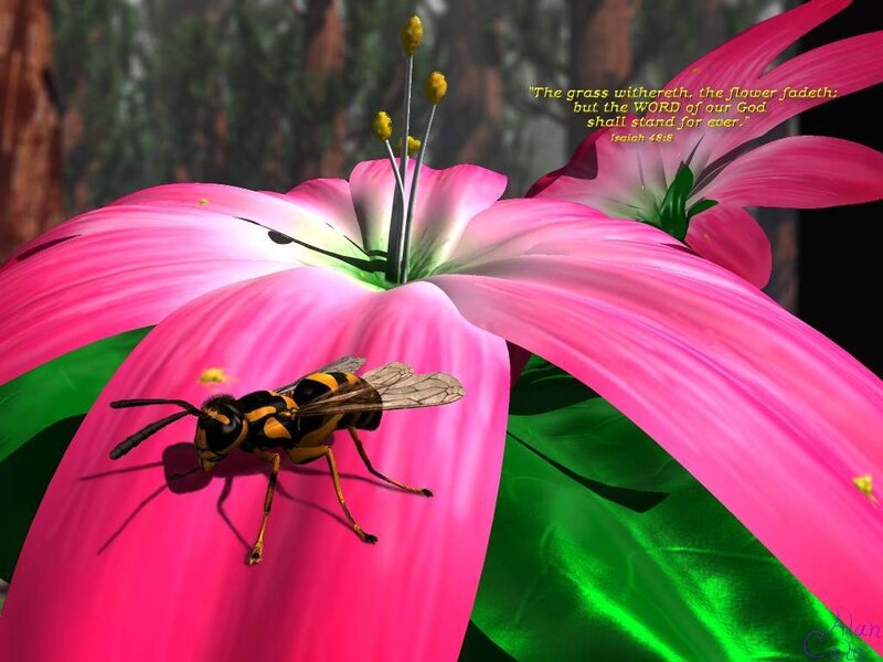 Wasp on Pink Flower — Serene