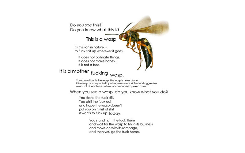 Wasp warning message