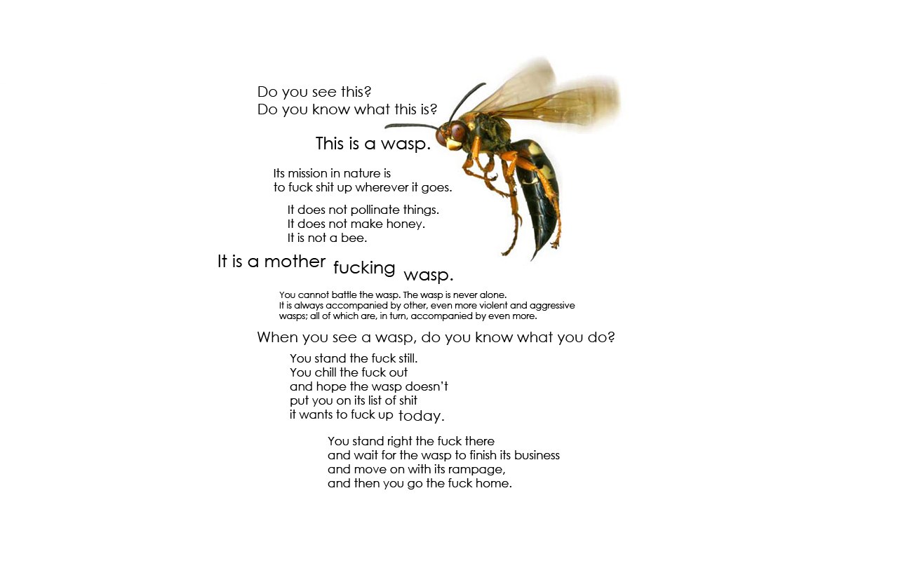 Wasp warning message