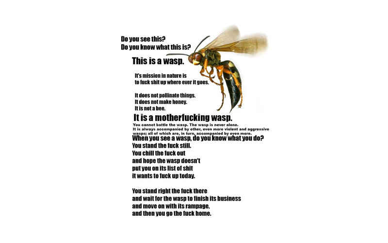 Wasp warning poster