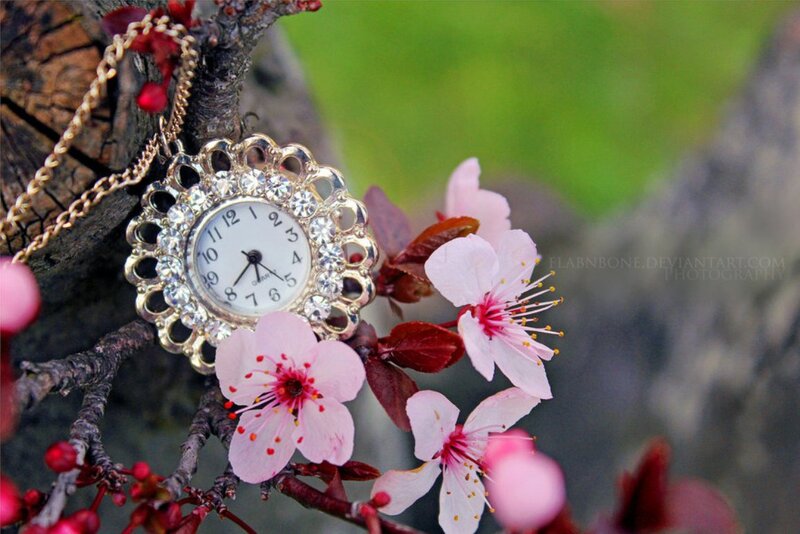 Watch on Cherry Blossom
