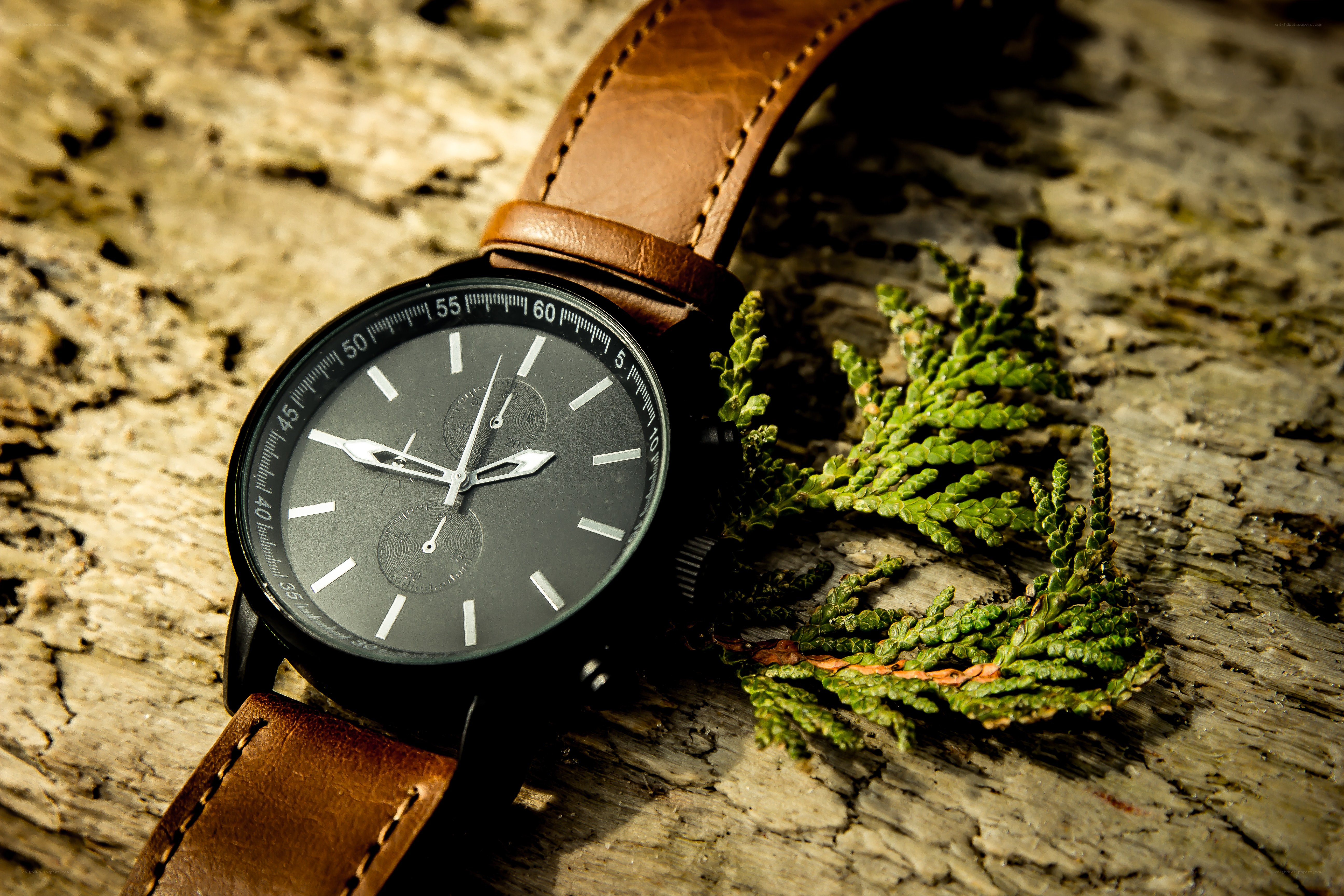 watch on wooden surface