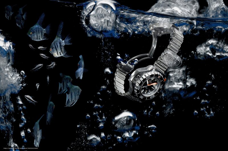 Watch underwater with fish