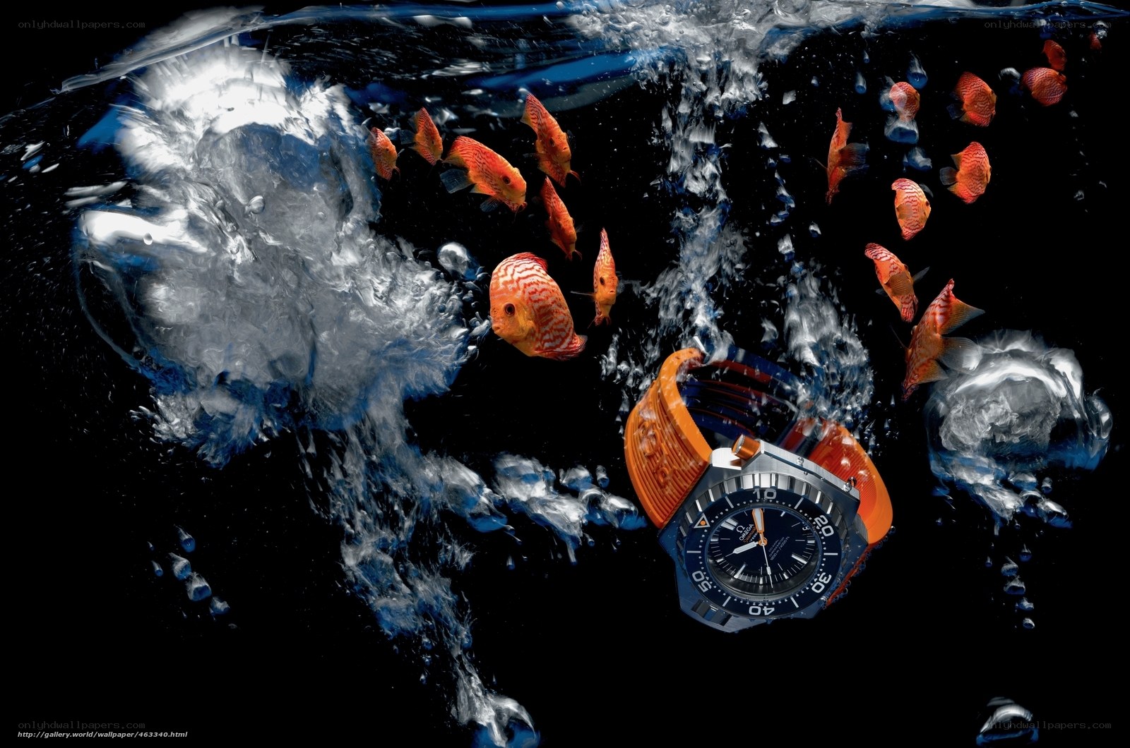 watch with fish underwater