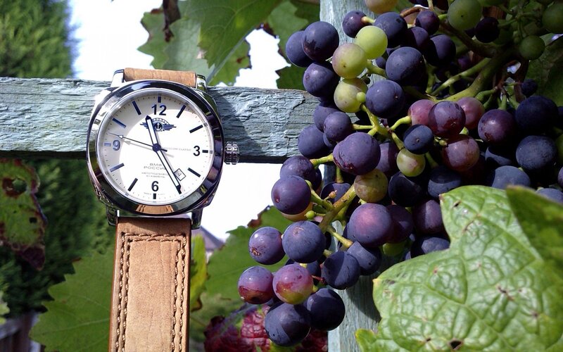 watch with grapes on vine