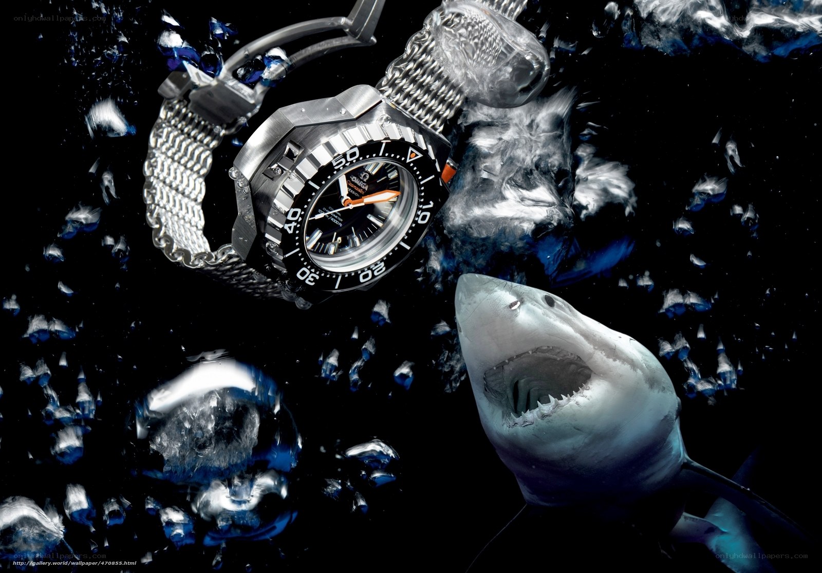 watch with shark underwater