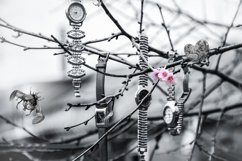 Watches on Tree Branches