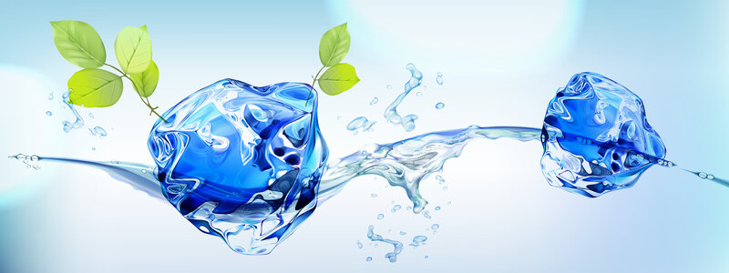 Water and ice with green leaves