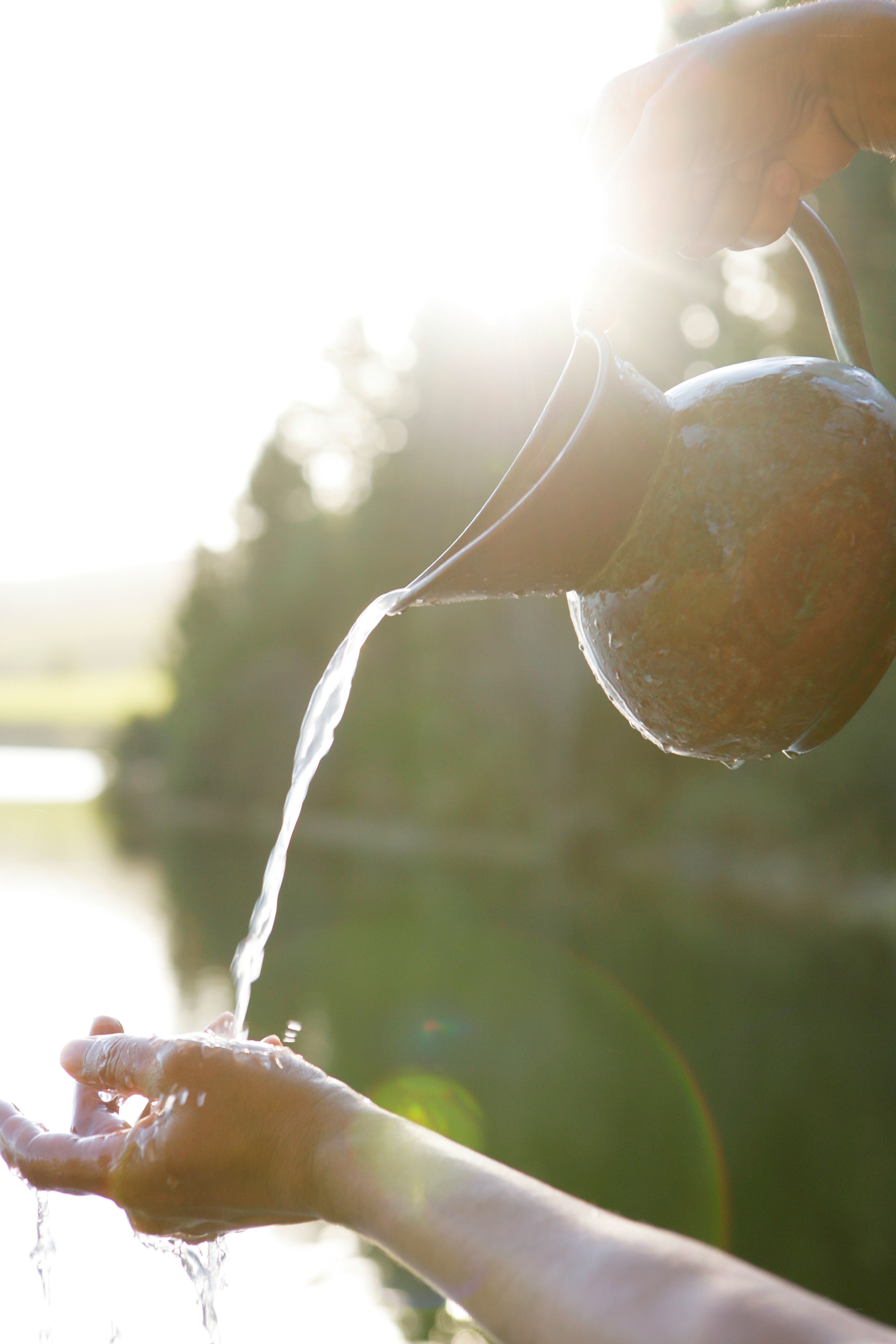Water being poured into hands