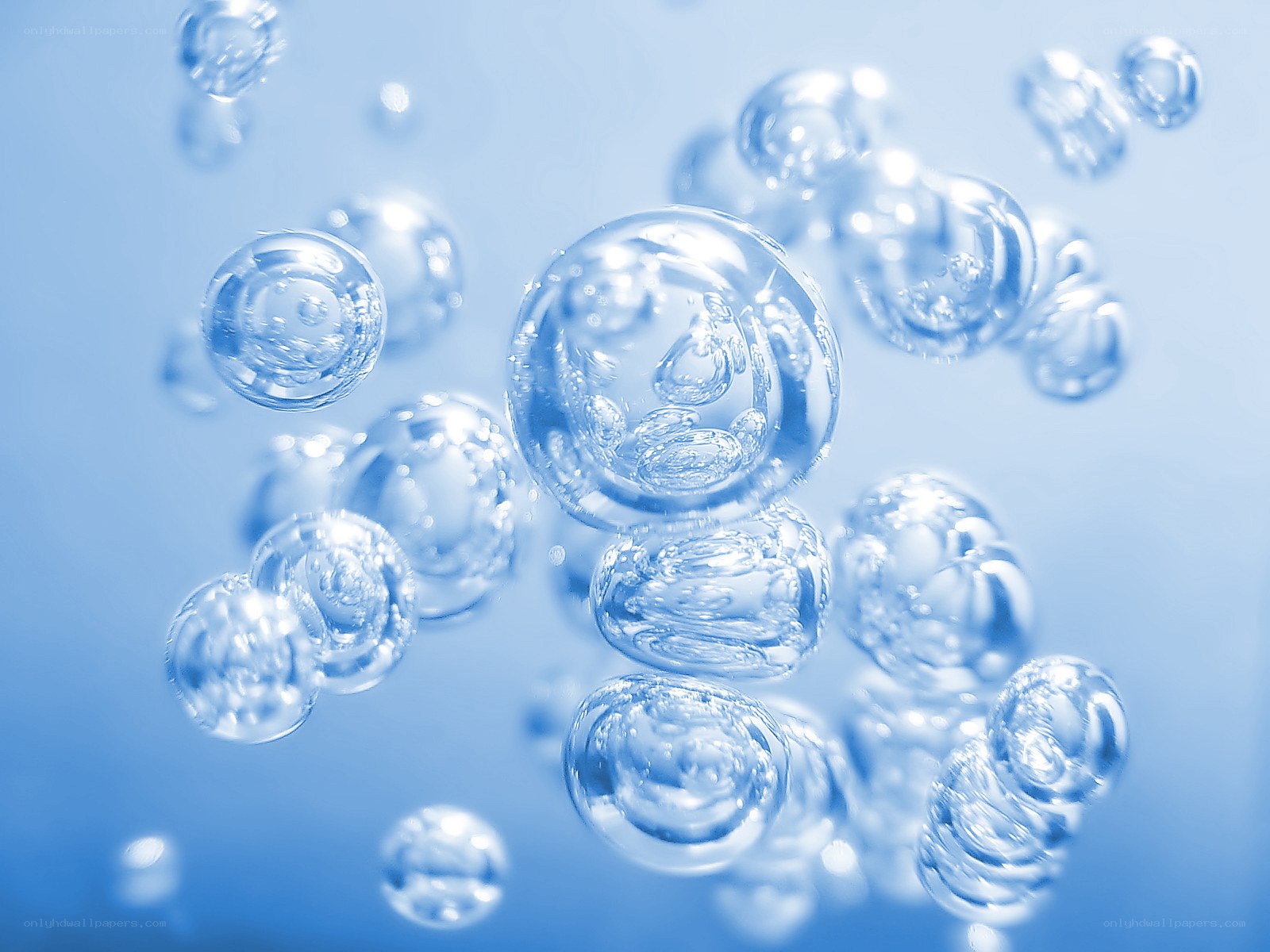 Water bubbles in blue liquid