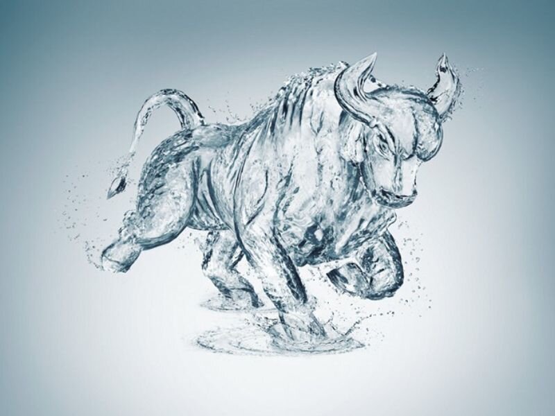 Water bull sculpture