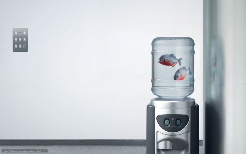Water cooler with fish