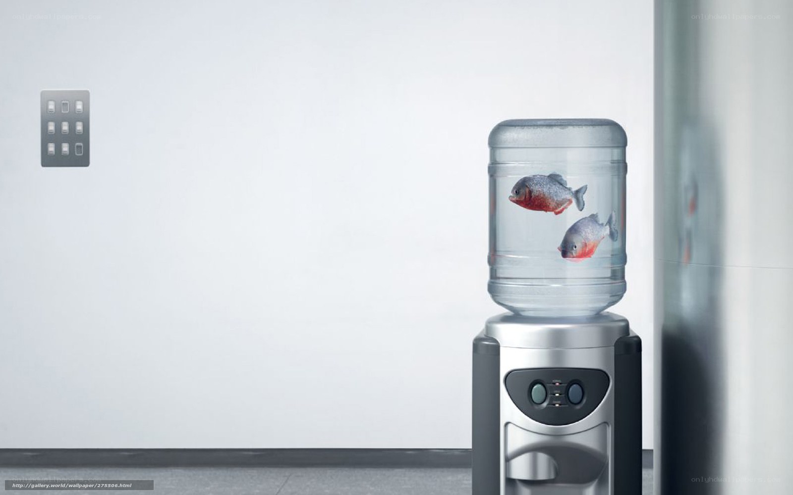 Water cooler with fish