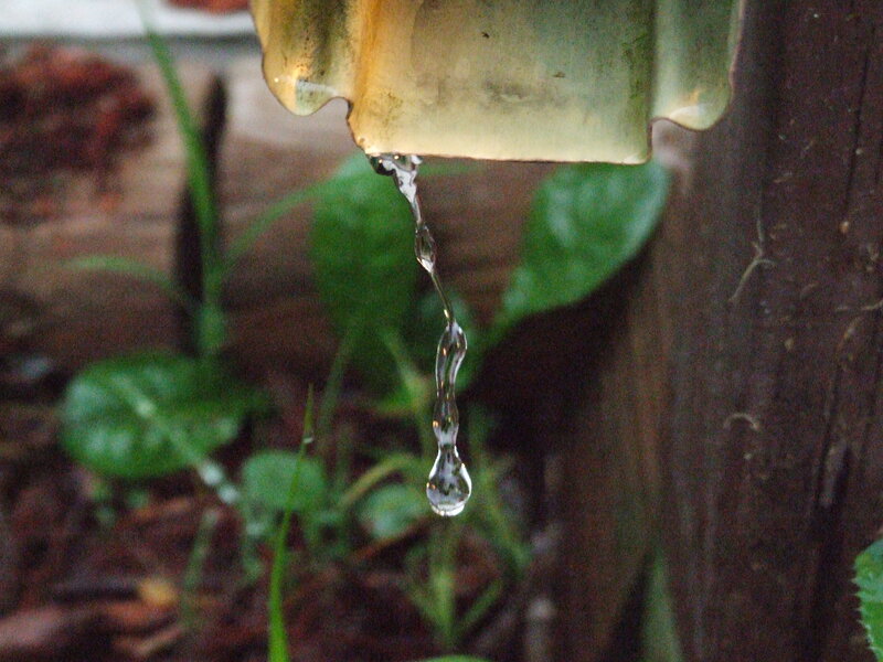 Water Dripping from Pipe