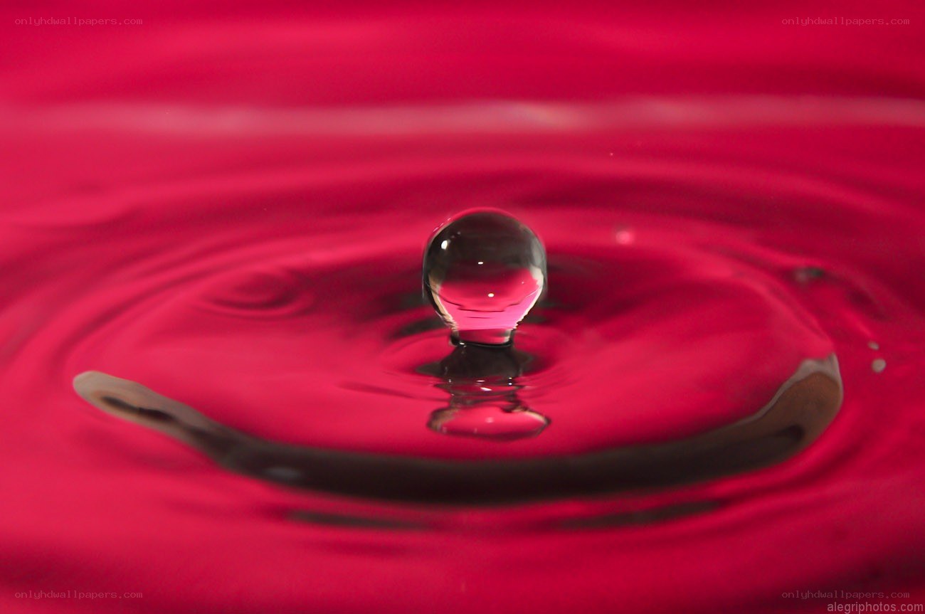 Water drop creating ripple