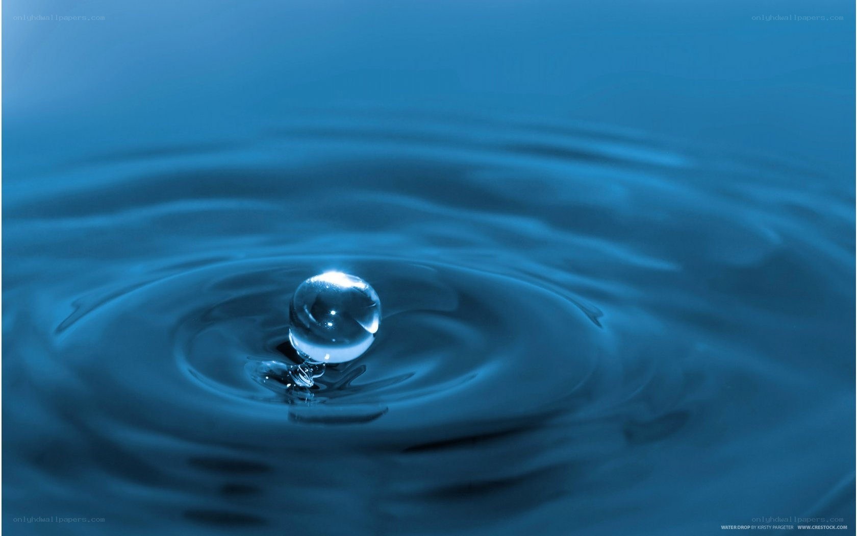 Water drop creating ripples