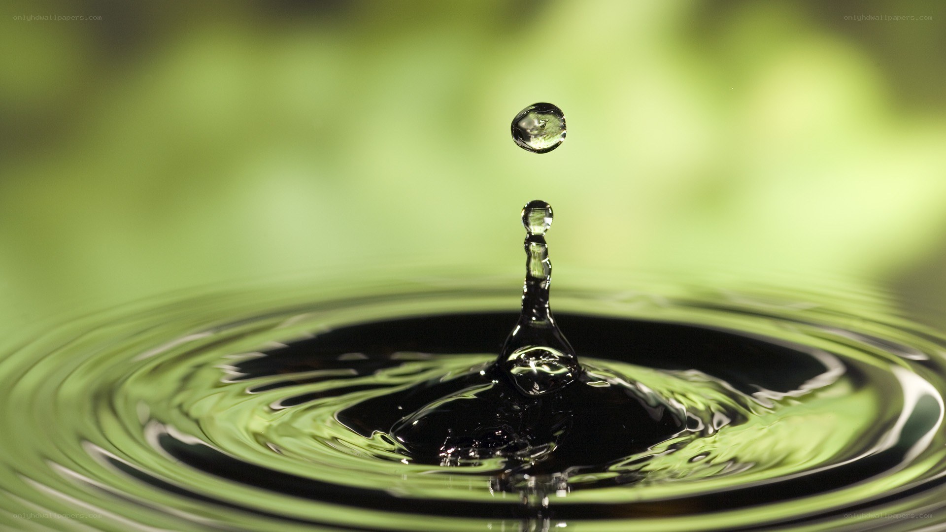 Water drop creating ripples