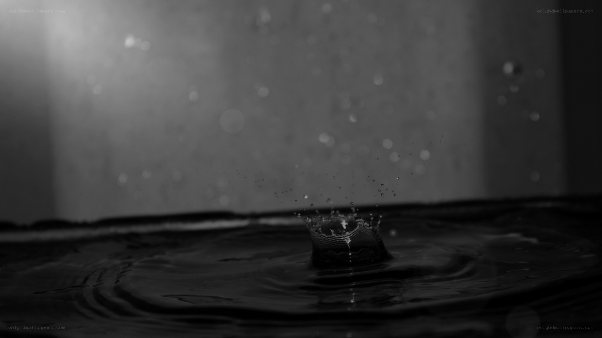 Water drop creating ripples