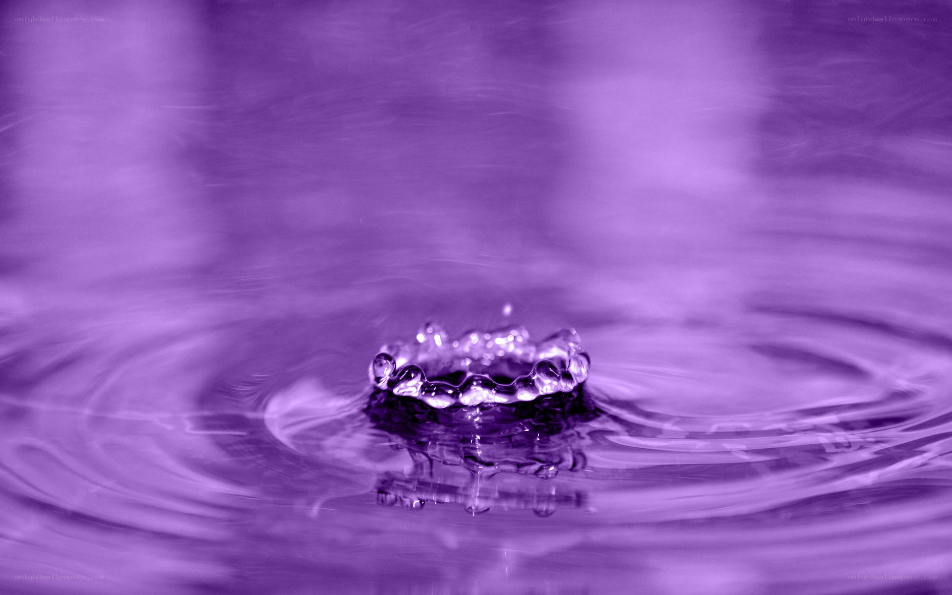 Water drop creating ripples