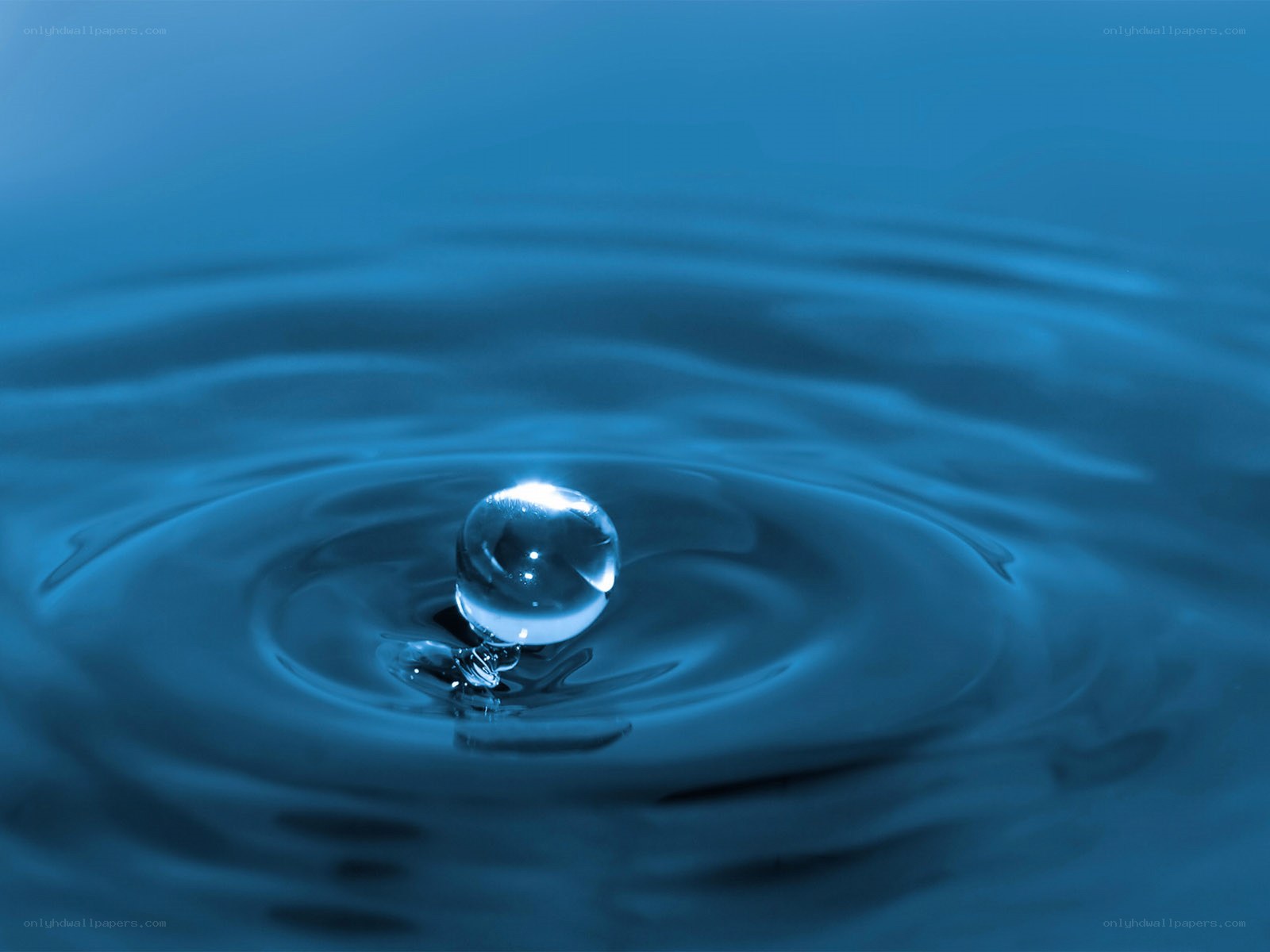 Water drop creating ripples