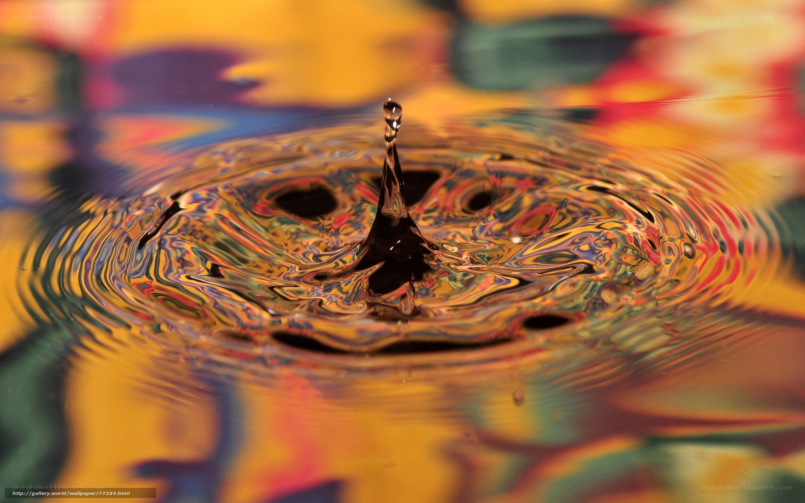 Water drop creating ripples