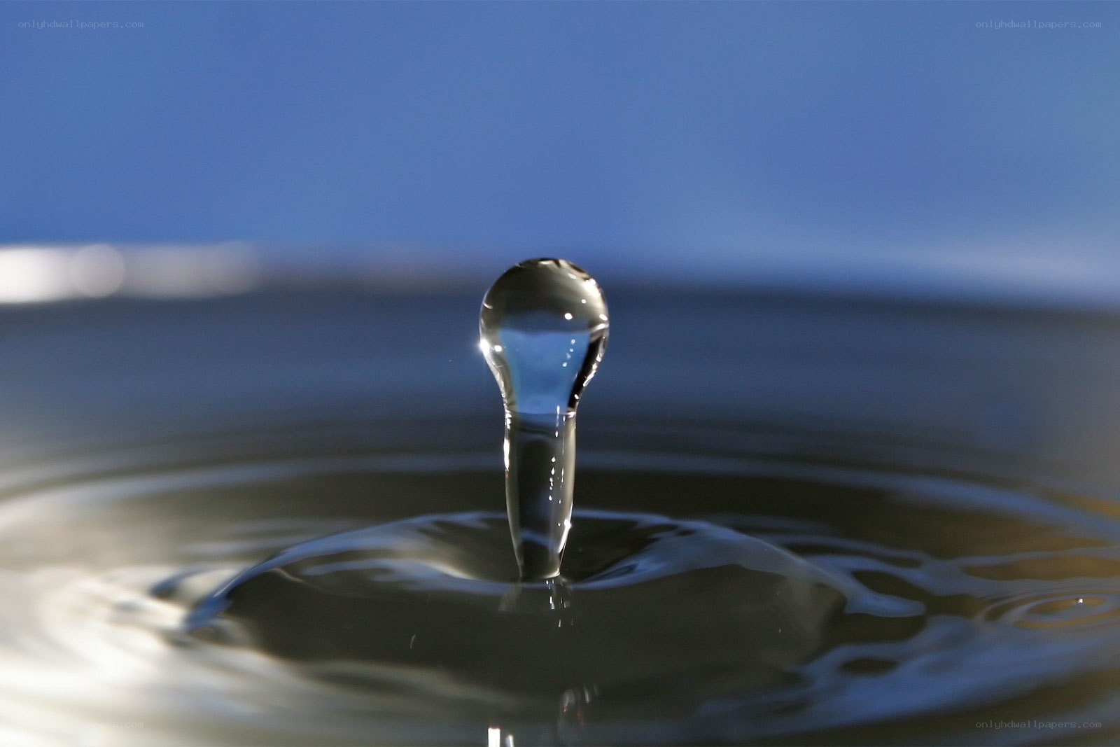 Water drop forming a column