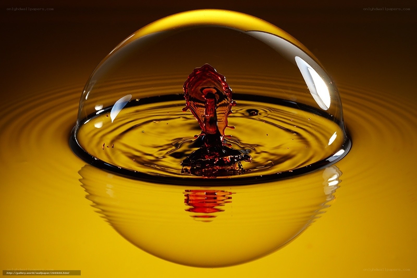 Water drop impact in golden liquid