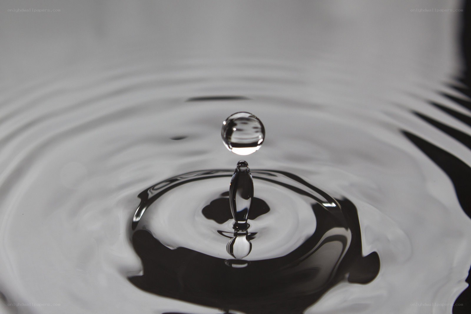 Water drop impact ripple
