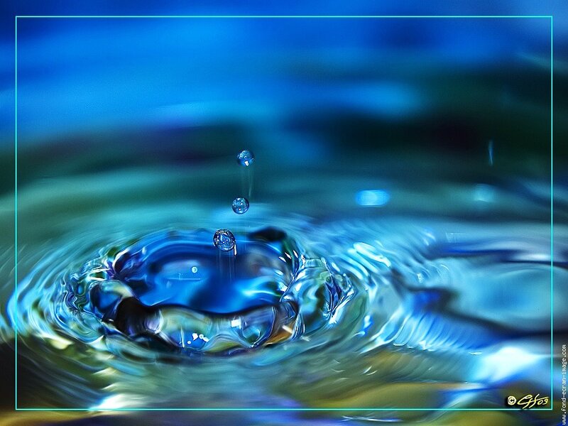 Water drop impact ripples
