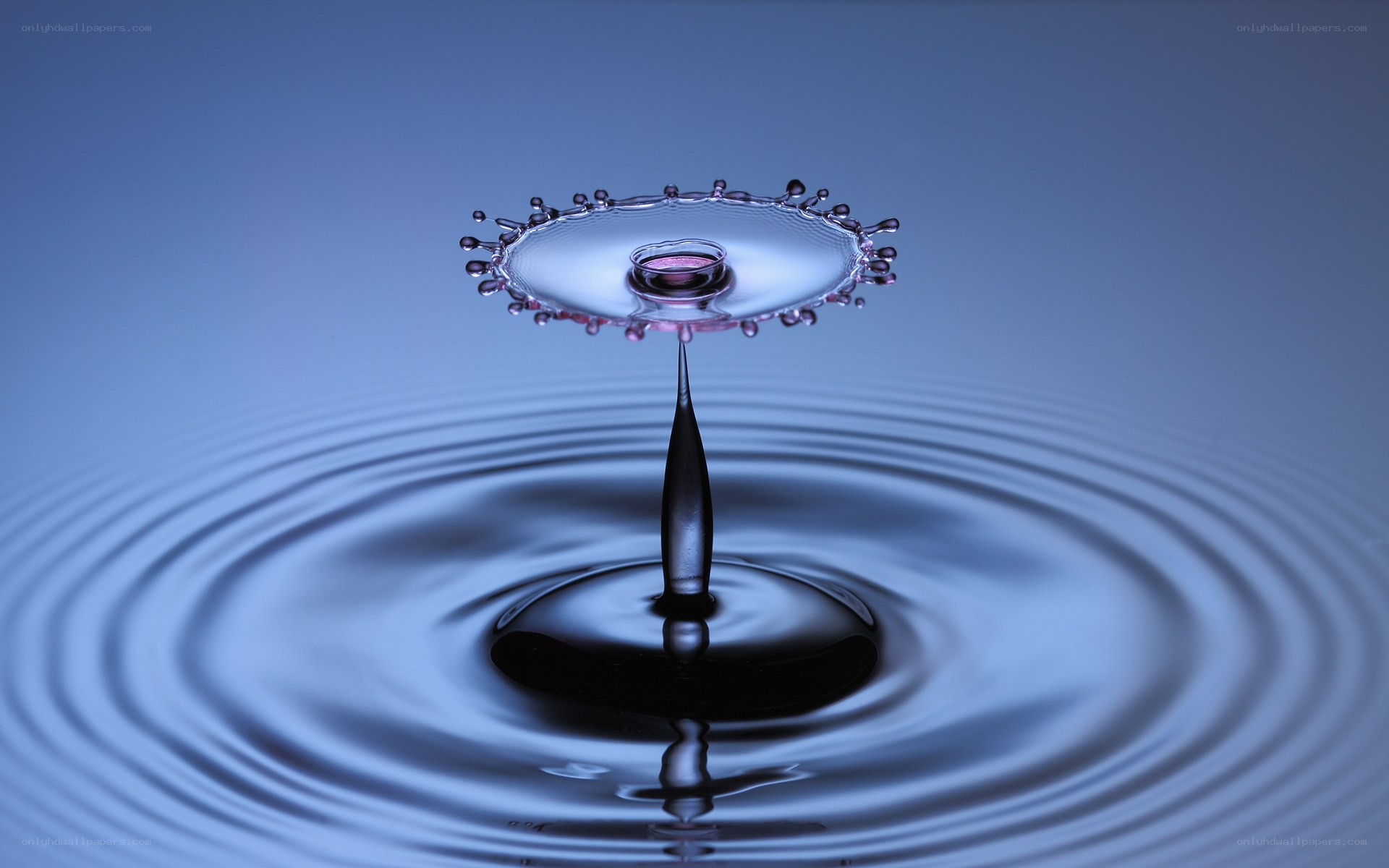 Water drop impact splash