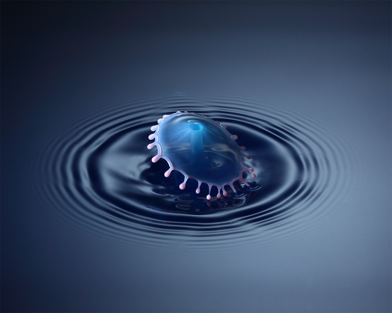Water drop impact splash