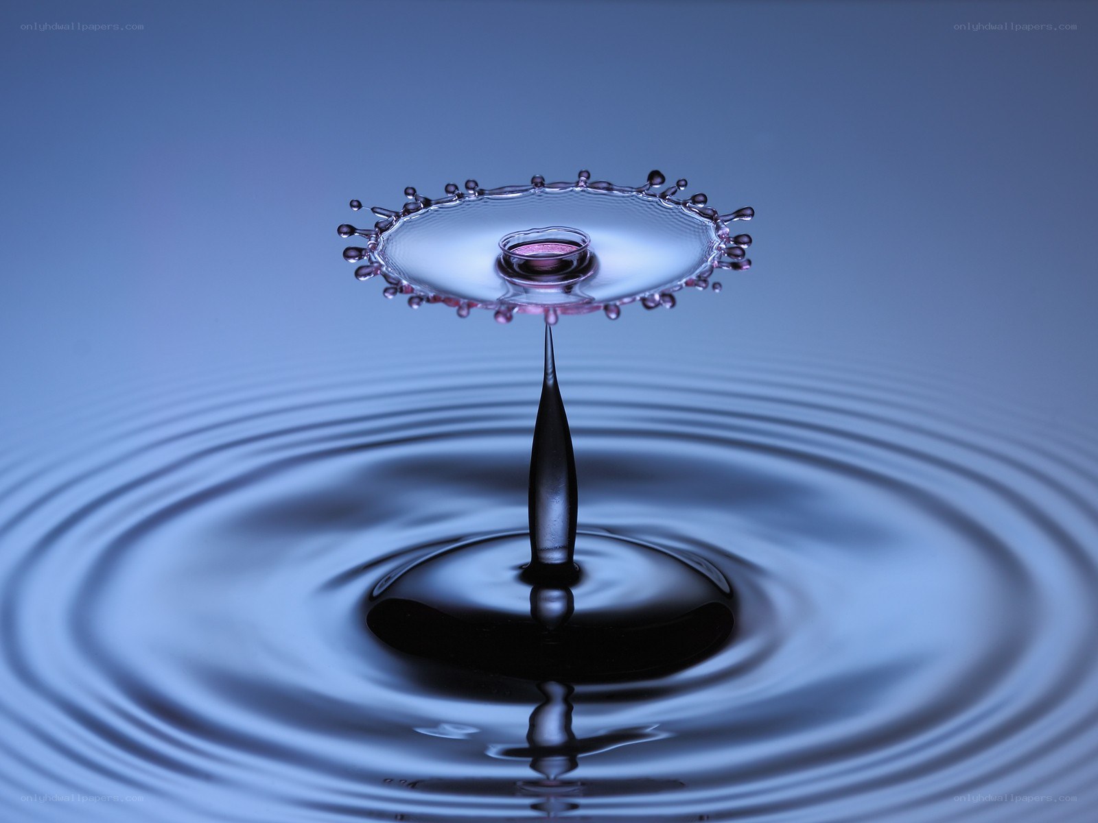 Water drop impact splash